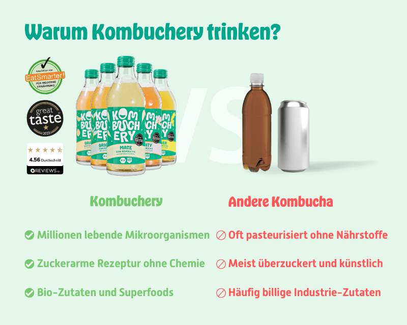 Kombucha Mixpaket 24 x 330ml